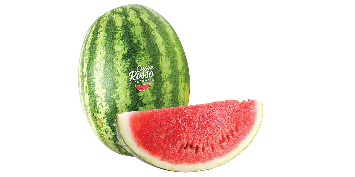 Angurie mini, midi e seedless: ecco la scommessa di San Lidano